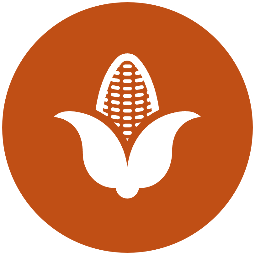 Higher yield agriculture through myco-fertilisation