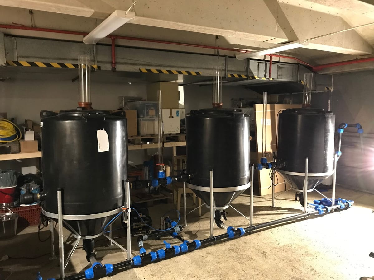 Treating industrial waste with fungi case studies